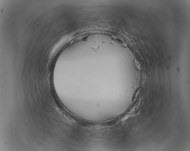 X0000067470197200605051655