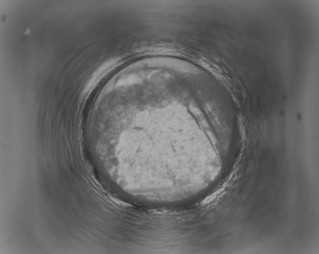 X0000067470199200605051655