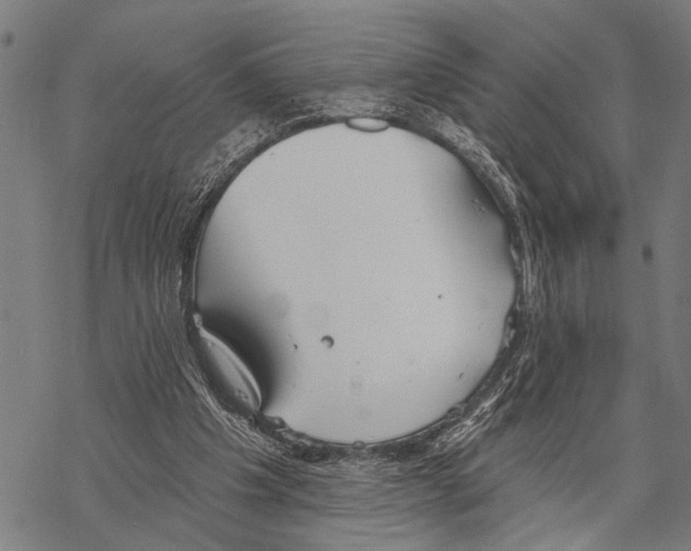 X0000067470201200605051655