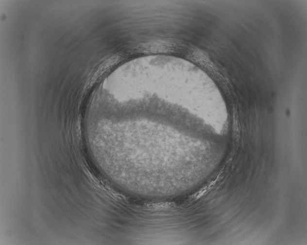 X0000067470202200605051655