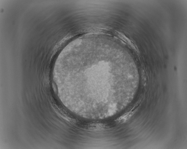 X0000067470203200605051655