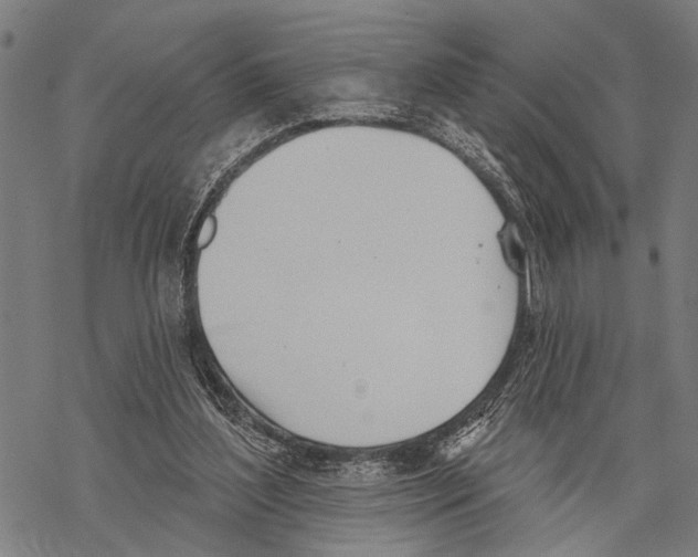 X0000067470204200605051655