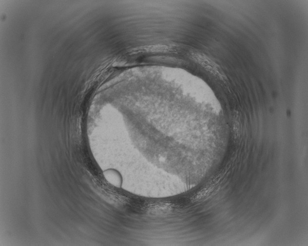 X0000067470206200605051655