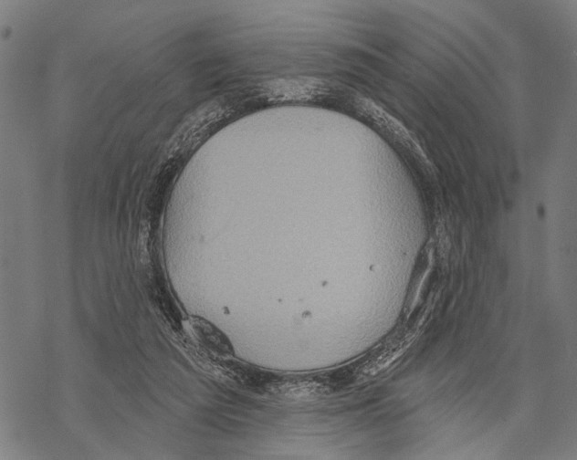 X0000067470209200605051655