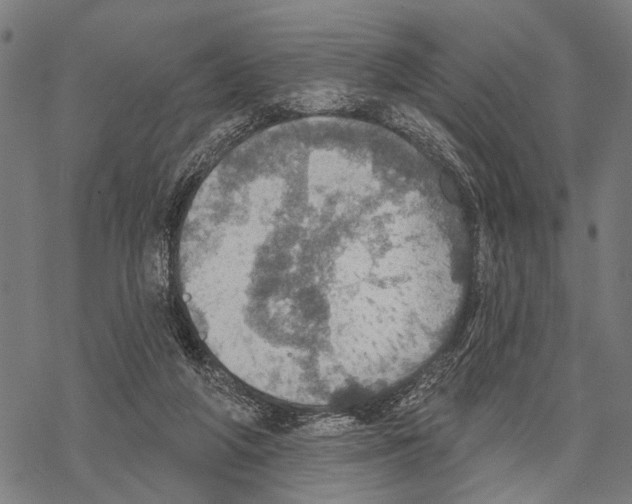 X0000067470210200605051655