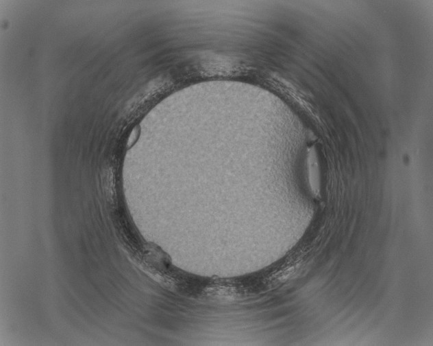 X0000067470211200605051655