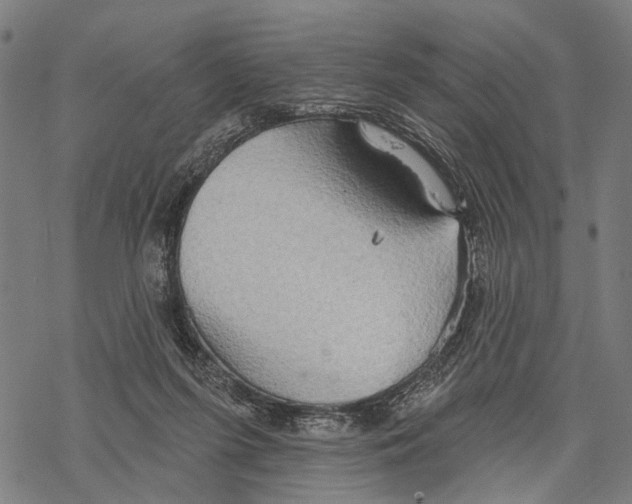 X0000067470215200605051655