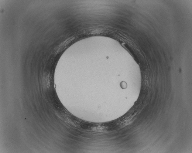 X0000067470216200605051655