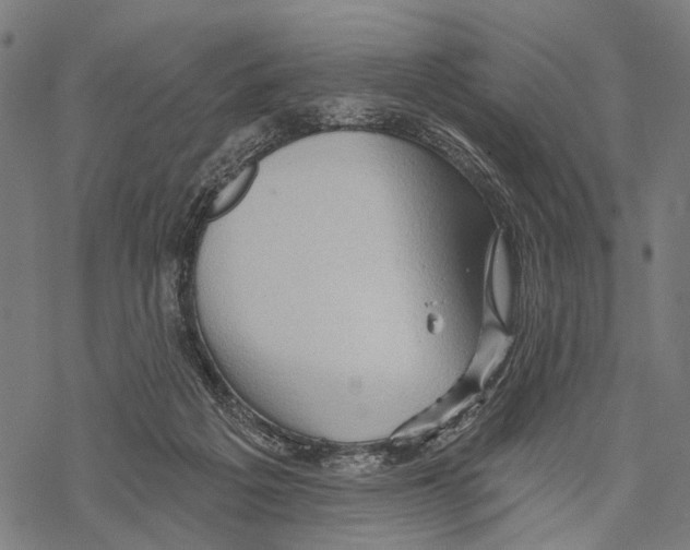 X0000067470217200605051655