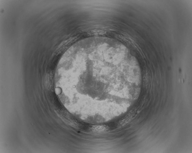 X0000067470218200605051655