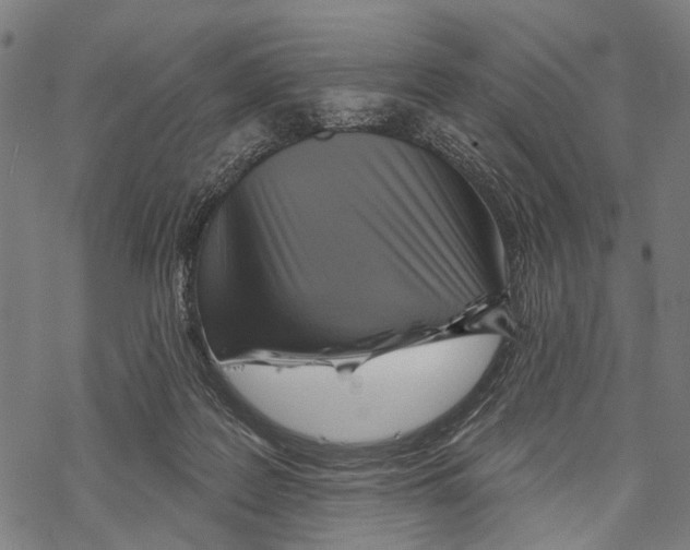 X0000067470219200605051655