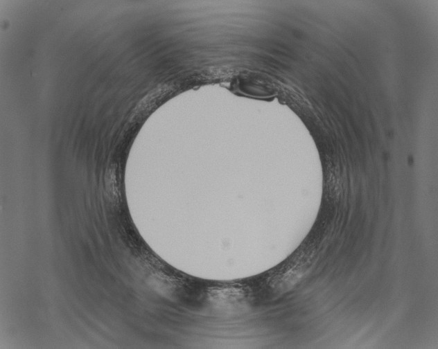 X0000067470220200605051655