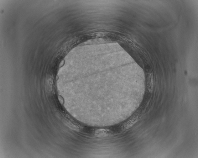 X0000067470222200605051655