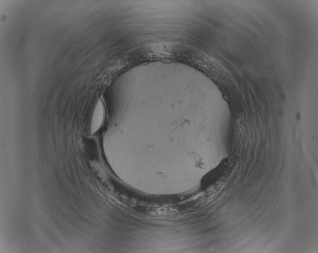 X0000067470223200605051655