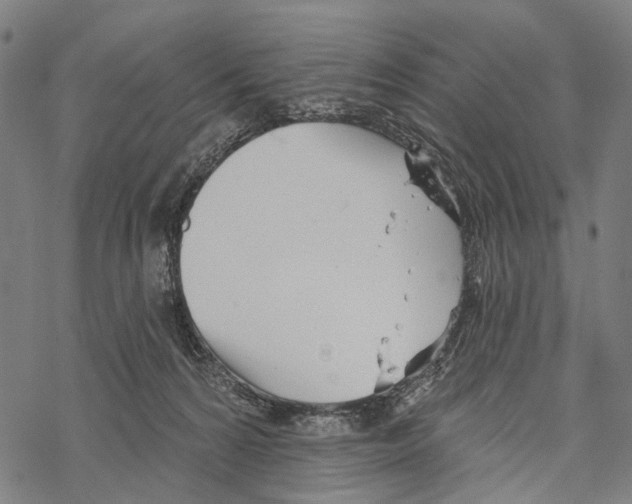 X0000067470224200605051655