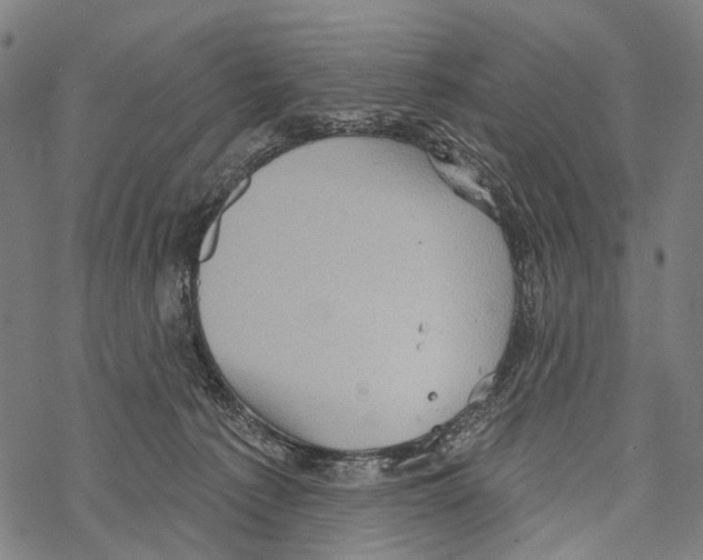 X0000067470225200605051655