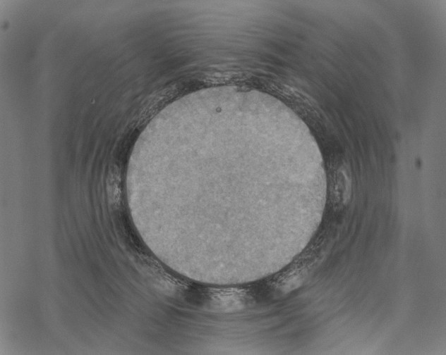 X0000067470226200605051655