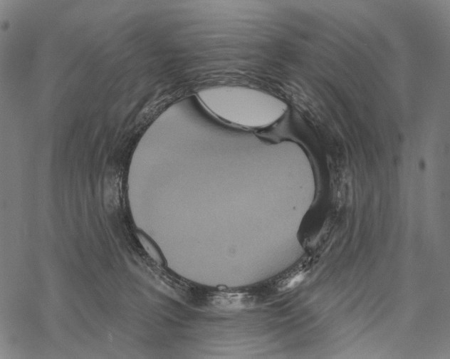 X0000067470227200605051655