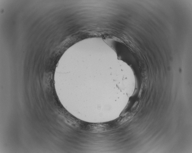 X0000067470229200605051655