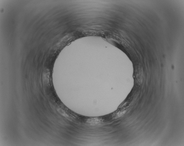 X0000067470231200605051655