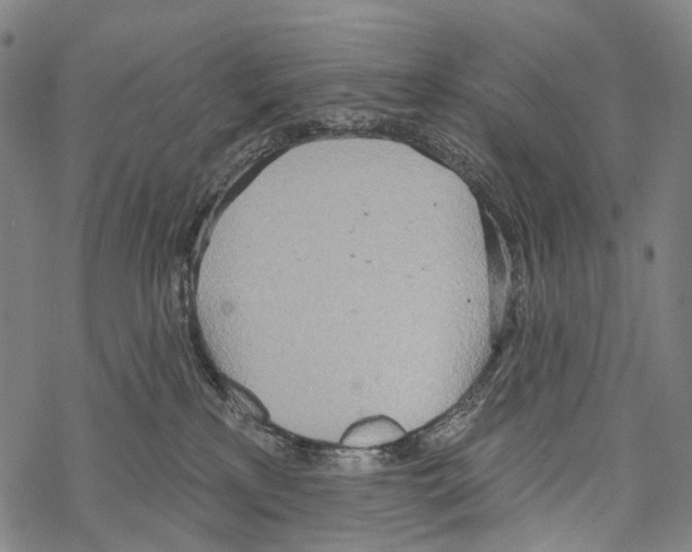 X0000067470233200605051655