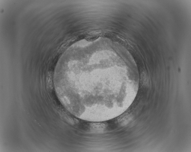 X0000067470234200605051655