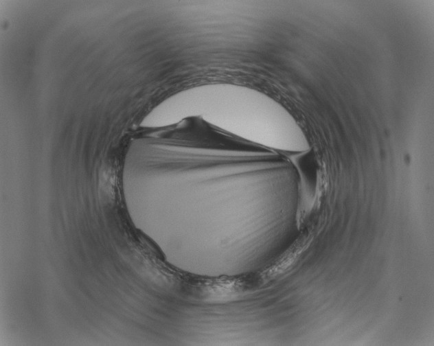 X0000067470235200605051655