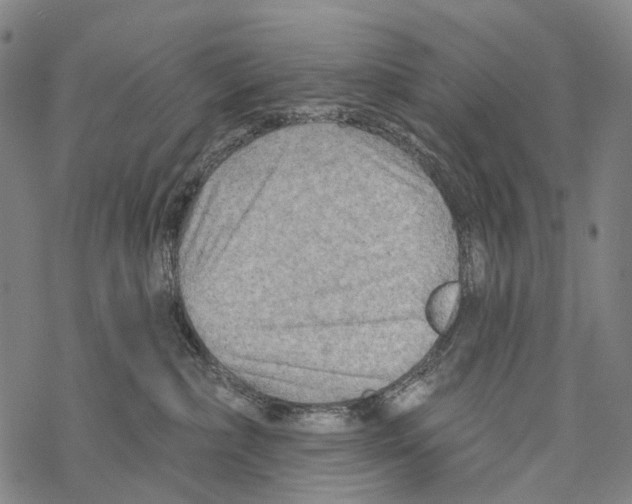 X0000067470236200605051655