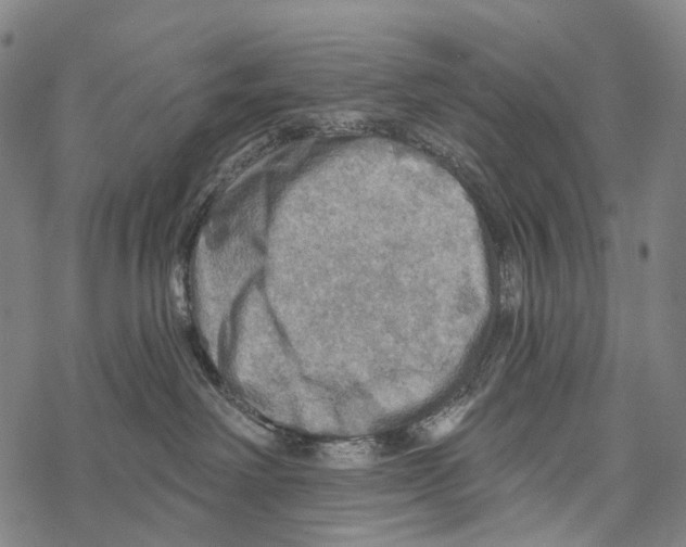 X0000067470238200605051655