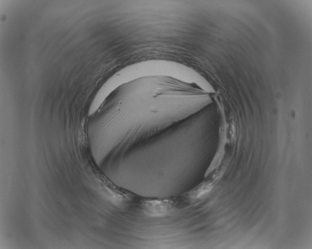 X0000067470239200605051655