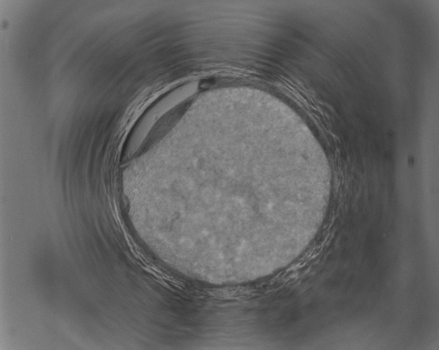 X0000067470241200605051654