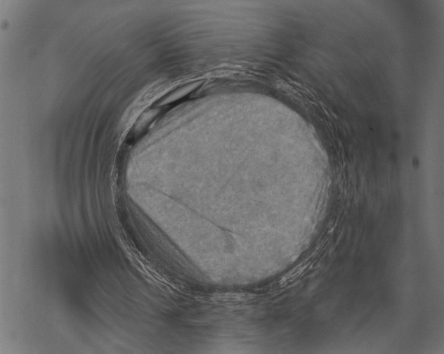 X0000067470242200605051654