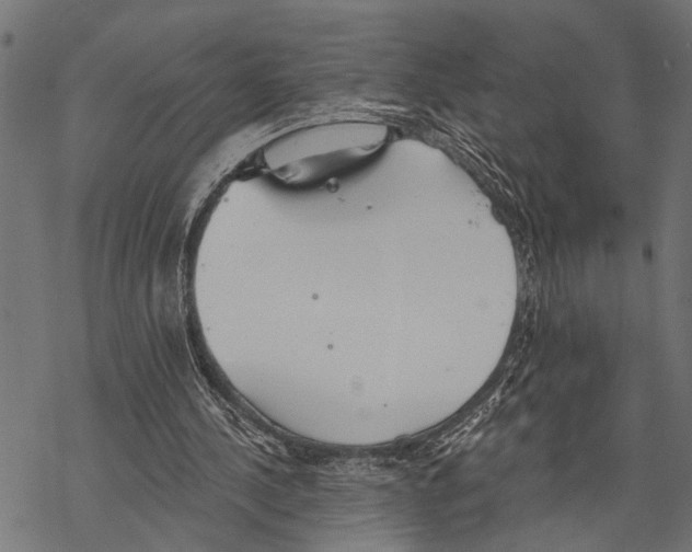 X0000067470244200605051654