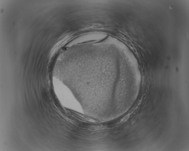 X0000067470245200605051654