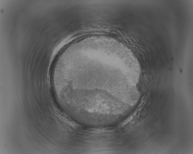 X0000067470246200605051654