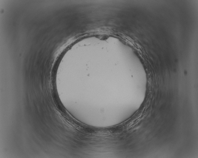 X0000067470248200605051654