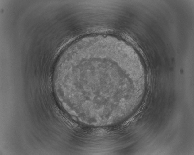 X0000067470249200605051654