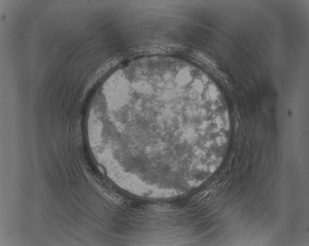 X0000067470250200605051654