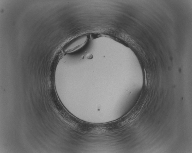 X0000067470252200605051654