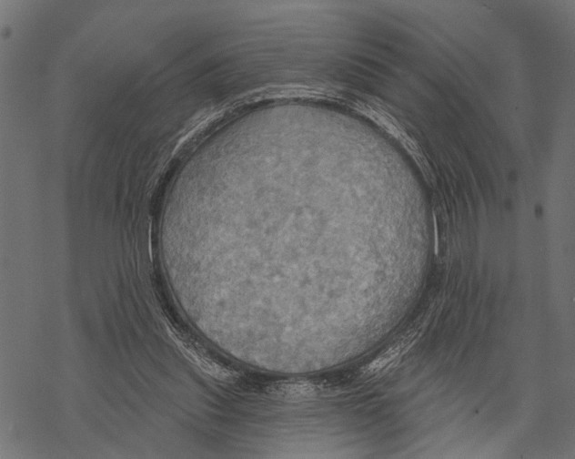 X0000067470253200605051654