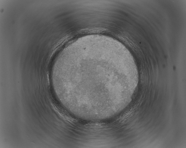 X0000067470254200605051654