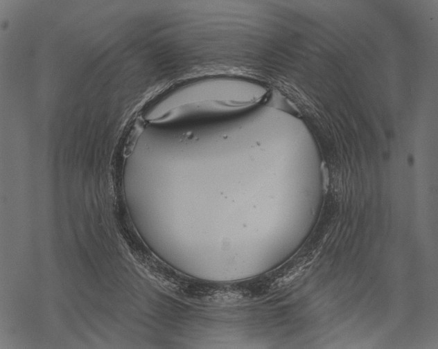 X0000067470256200605051654