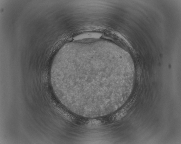 X0000067470257200605051654