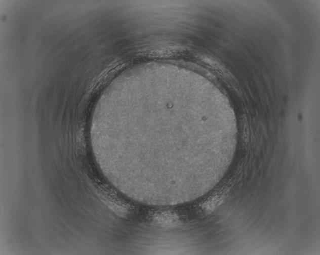 X0000067470258200605051654