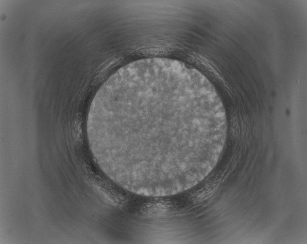 X0000067470259200605051654