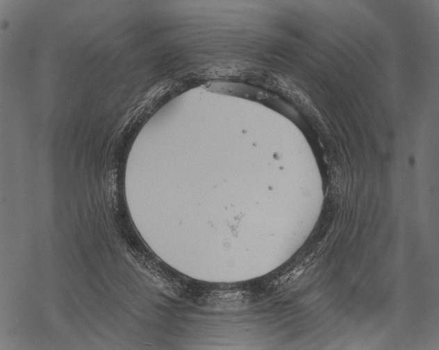 X0000067470260200605051654