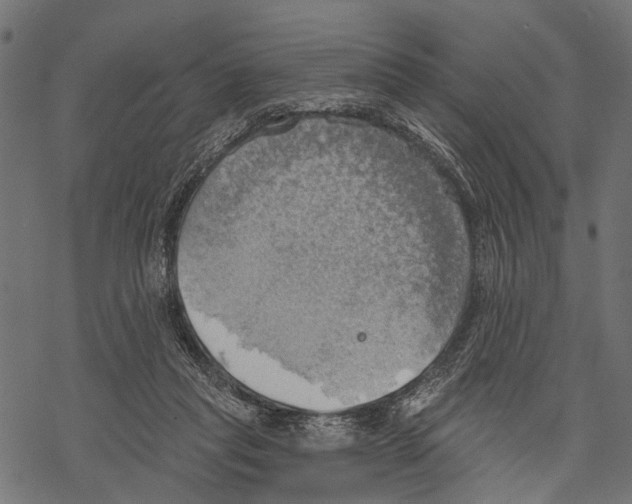 X0000067470261200605051654