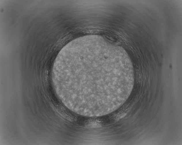 X0000067470263200605051654