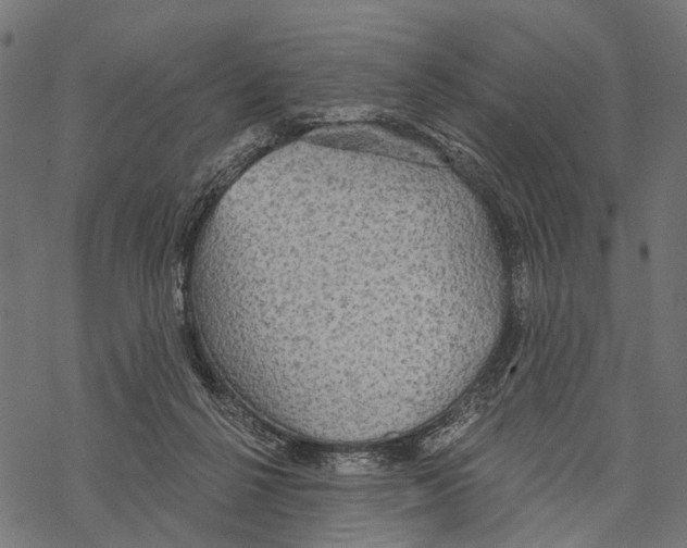 X0000067470264200605051654