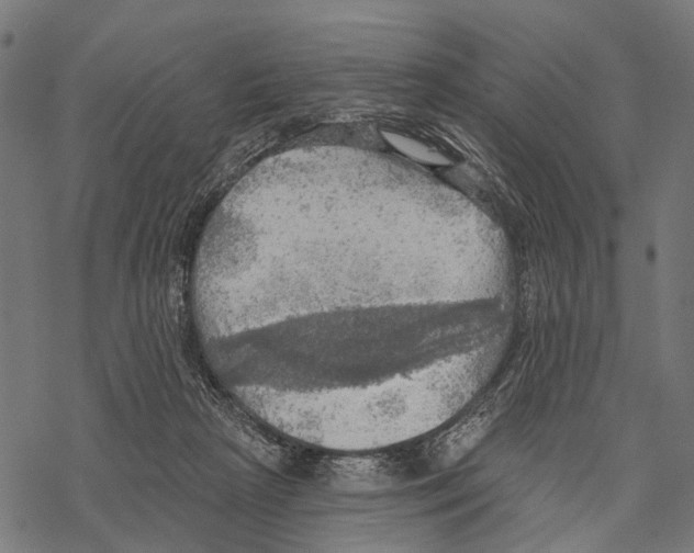 X0000067470265200605051654